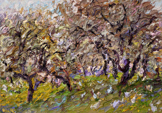 008 | Abgeblühte Kirschbäume in Ranies