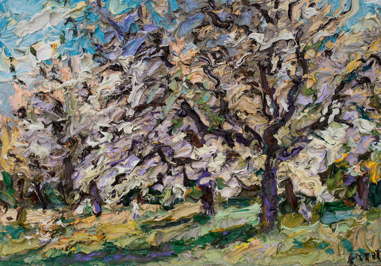 006 | Blühende Kirschbäume in Leitzkau II