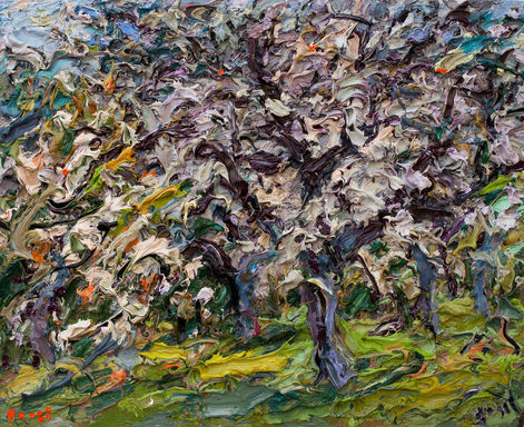 Blühende Kirschbäume in Leitzkau I